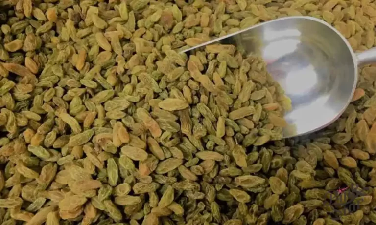 long green raisins