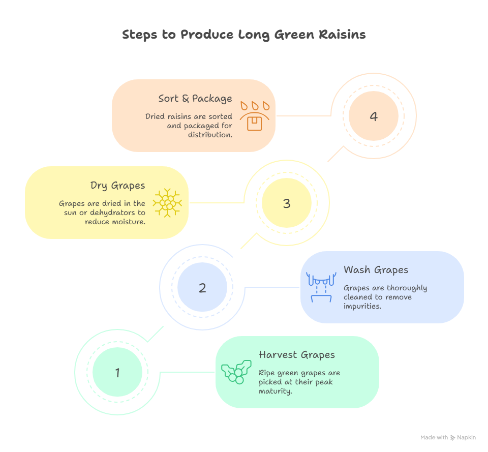 Production Process of Long Green Raisins