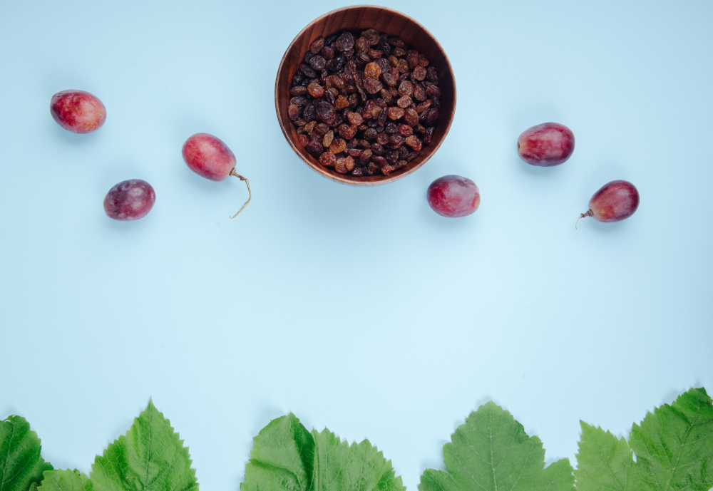 berry density and cuticle health effect on Mavis raisin texture